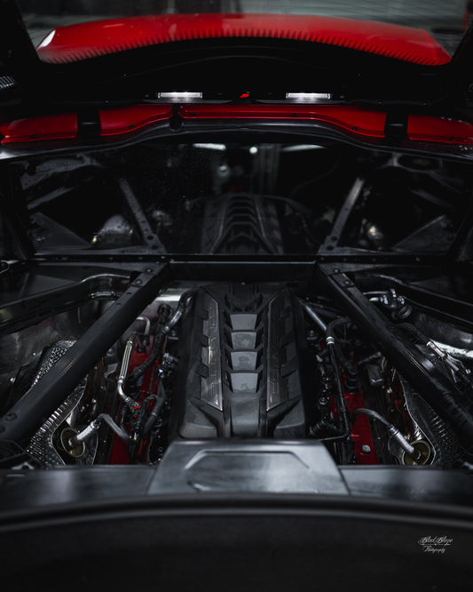 100,000 Quick Entries- C8 Corvette + Mustang GT Premium (Digital Poster Package)